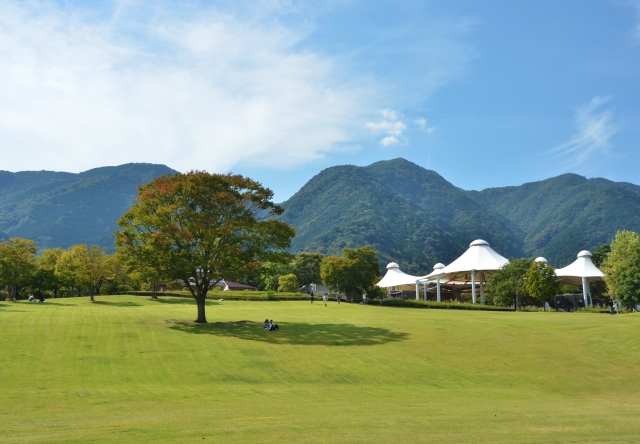 朝晩涼しくなってきましたね