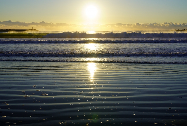 本年も宜しくお願い致します