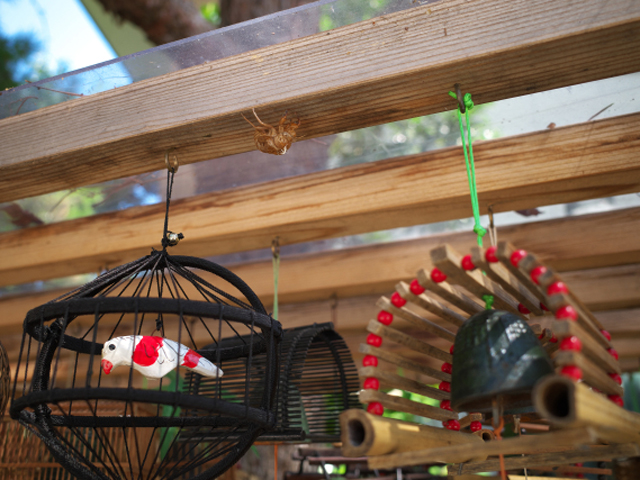 お盆休みいかがお過ごしですか？